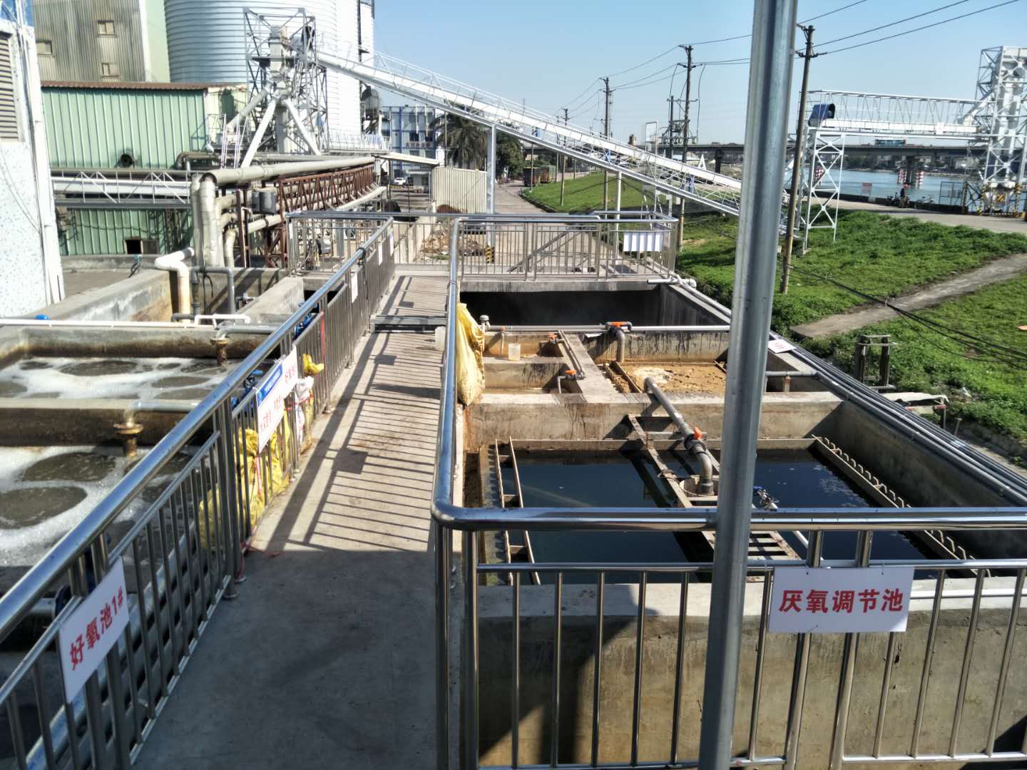 食品廢水植物處理技術(shù)，你知道嗎？